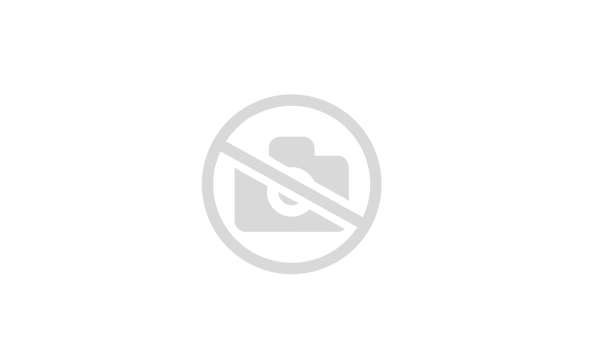 Квадроцикл HND QRX 550 XE SPORT